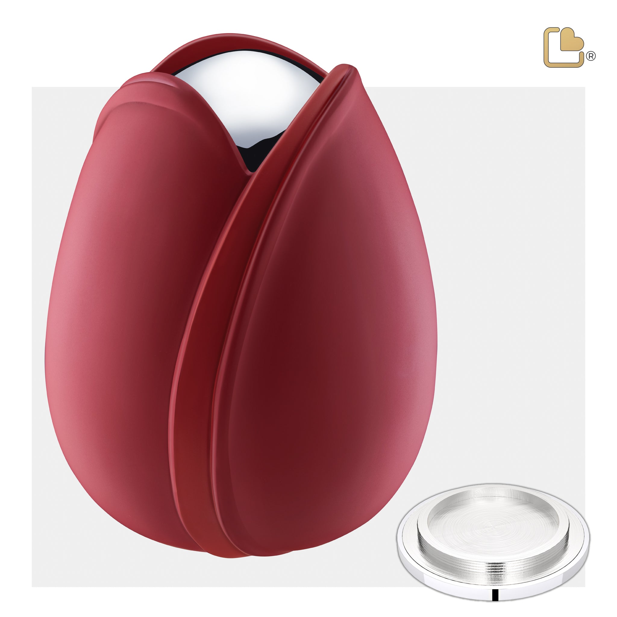 Tulip Red (Adult)