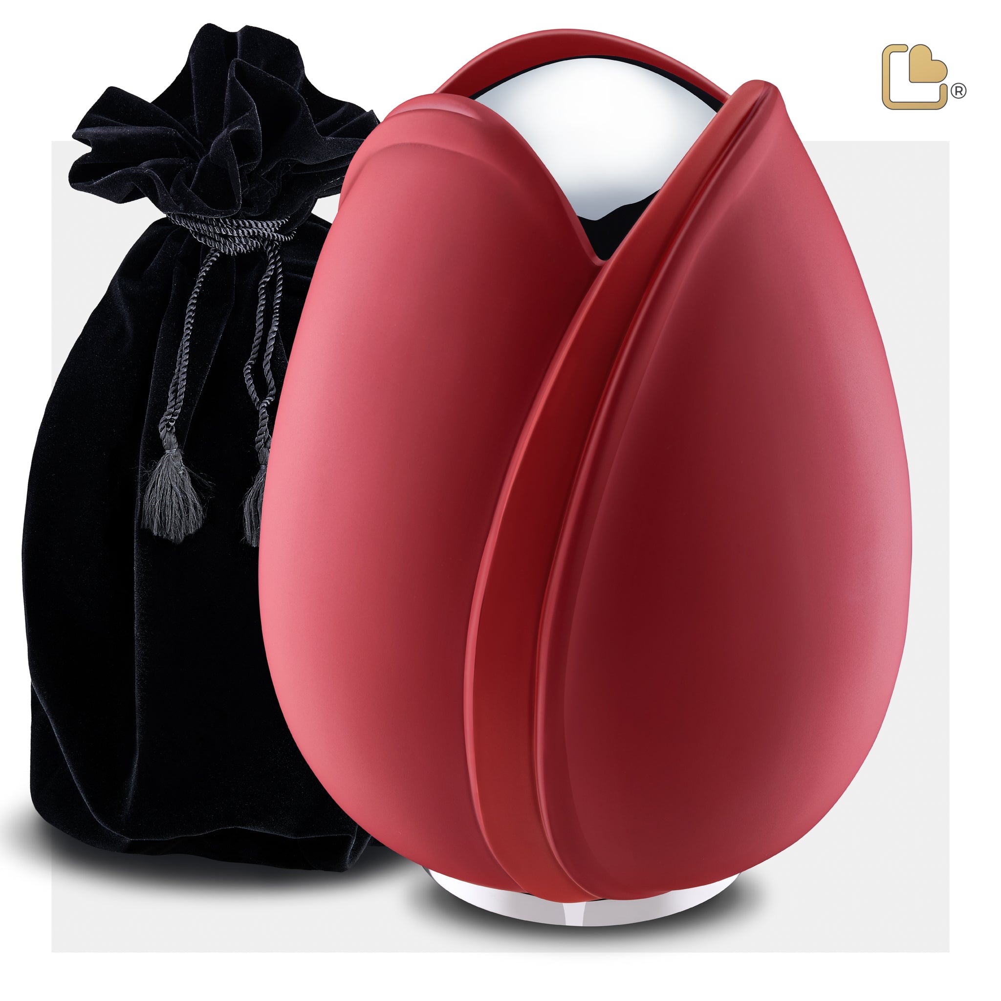 Tulip Red (Adult)