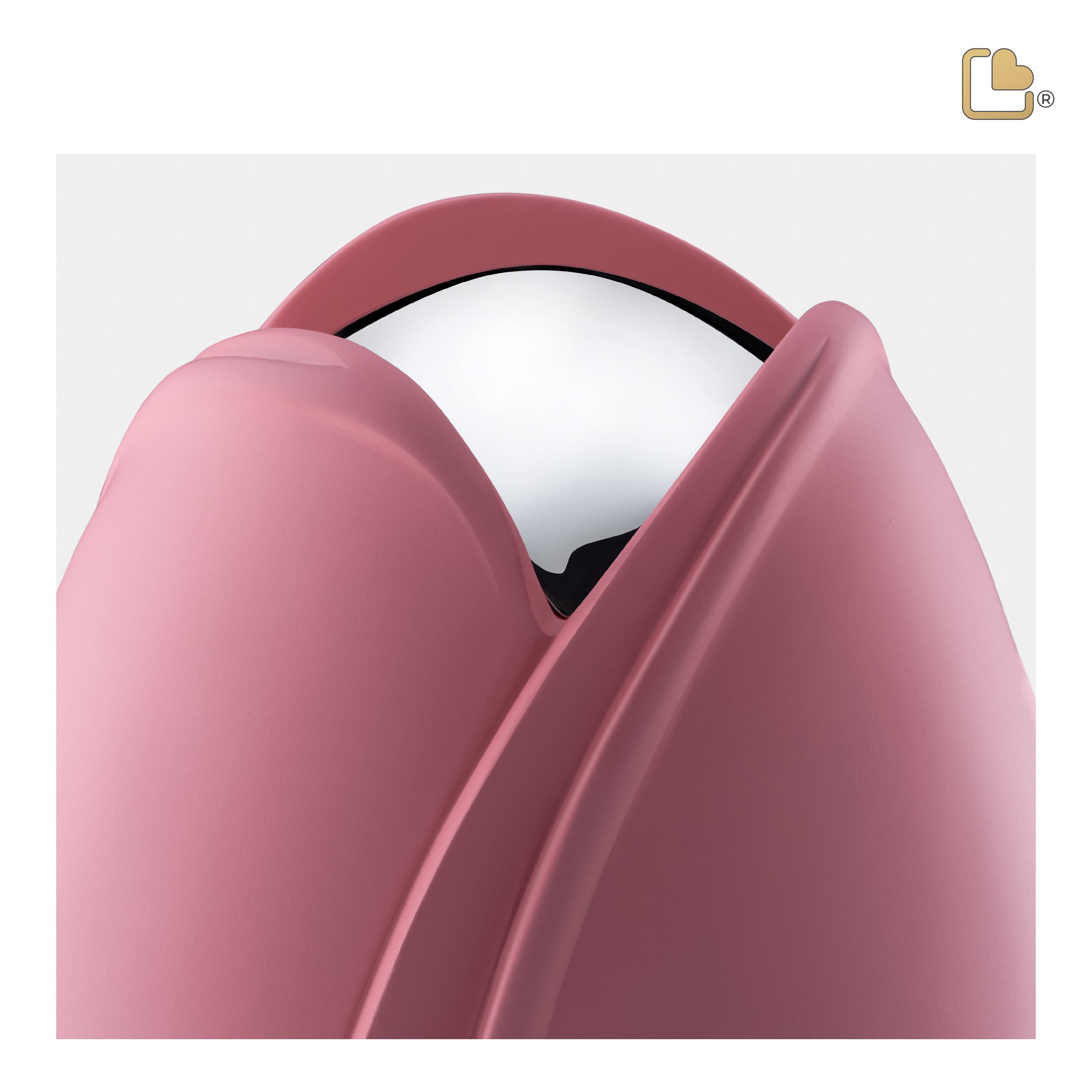 Tulip Pink (Adult)