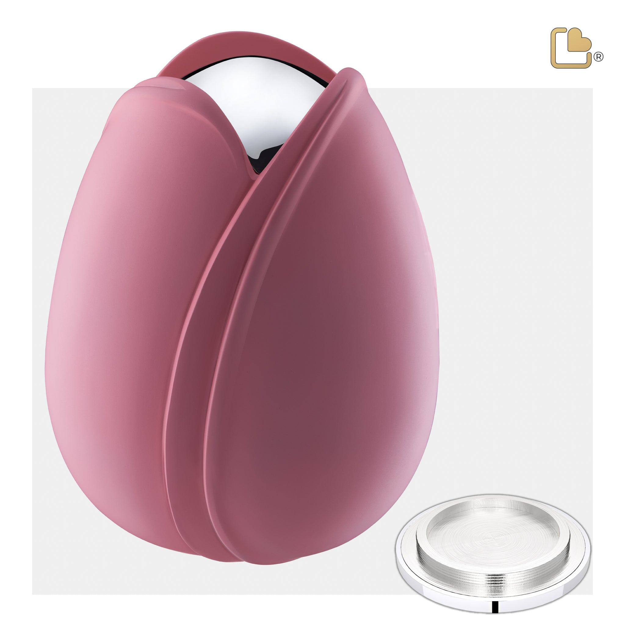 Tulip Pink (Adult)