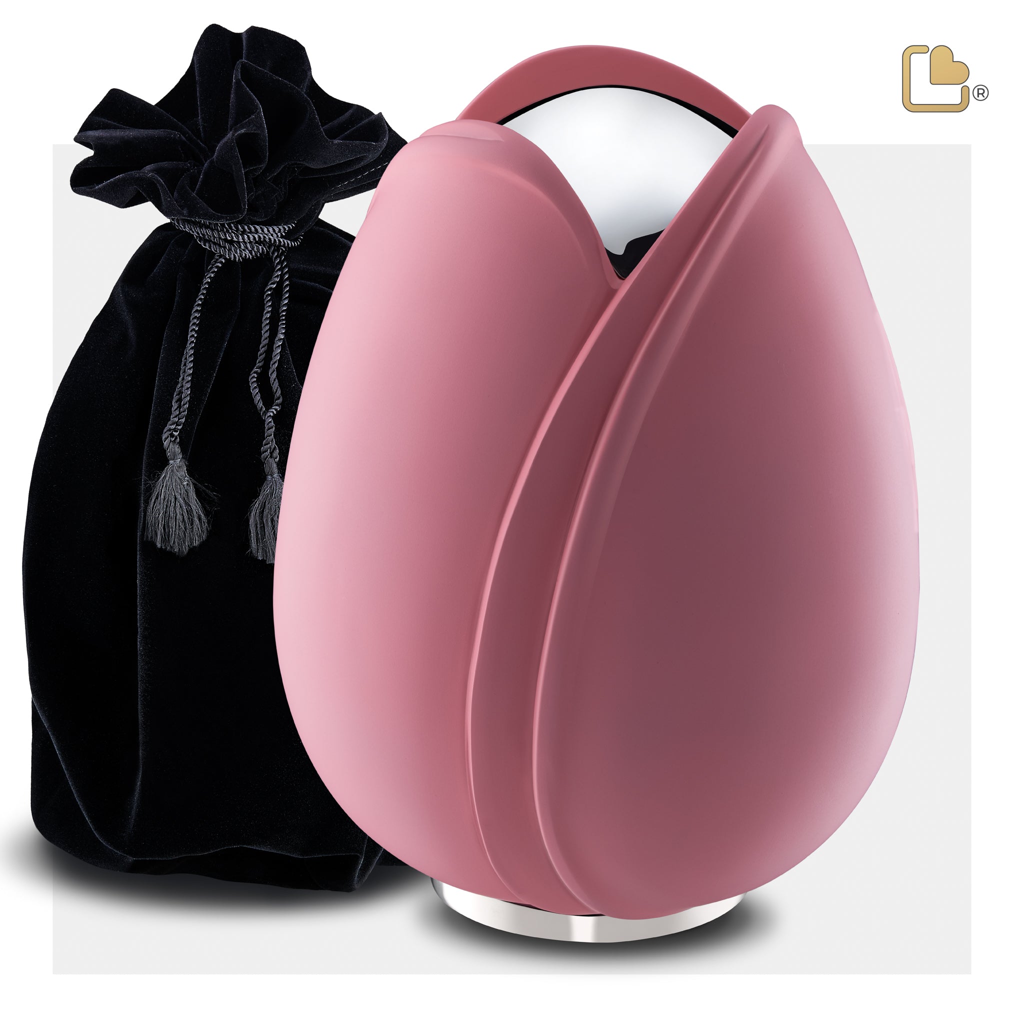 Tulip Pink (Adult)