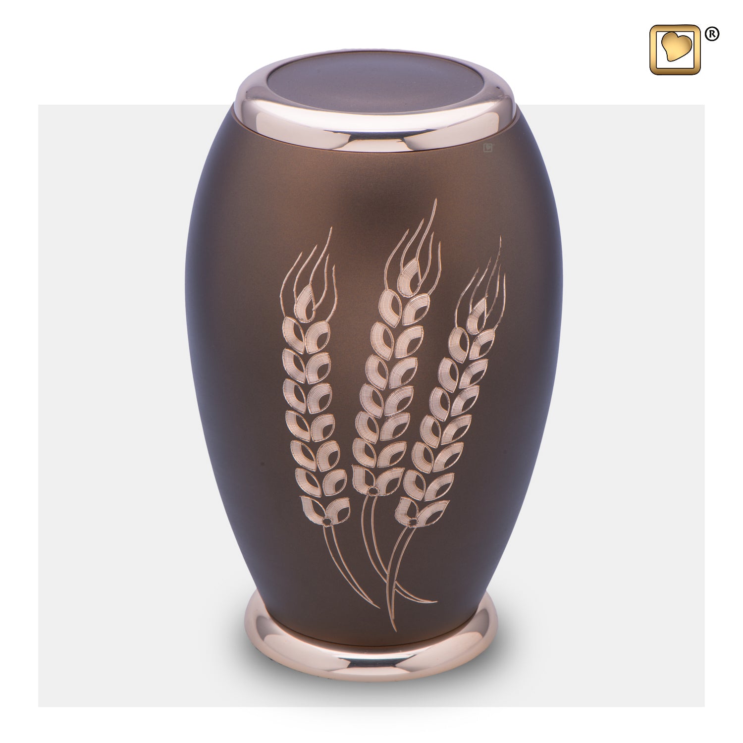 Prairie Wheat (Adult)