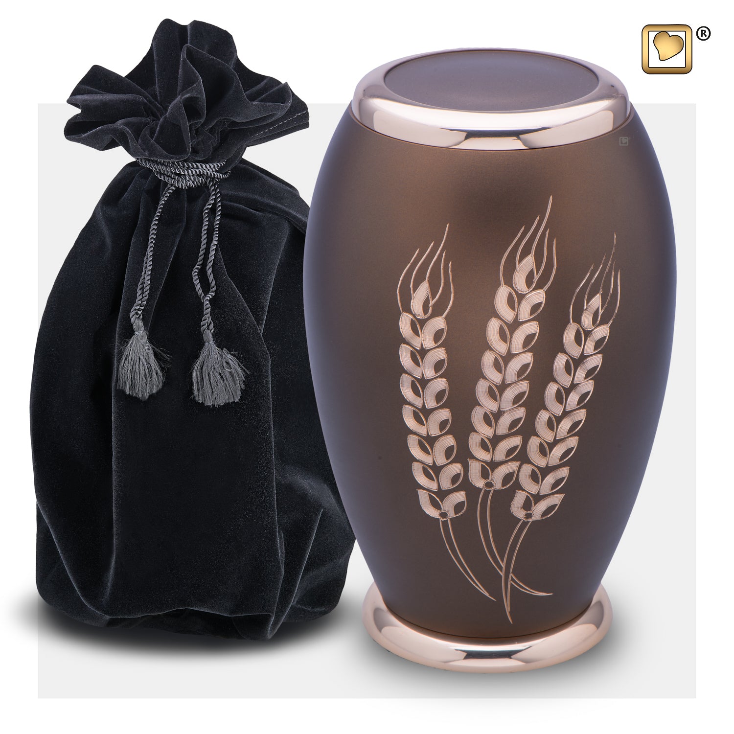 Prairie Wheat (Adult)