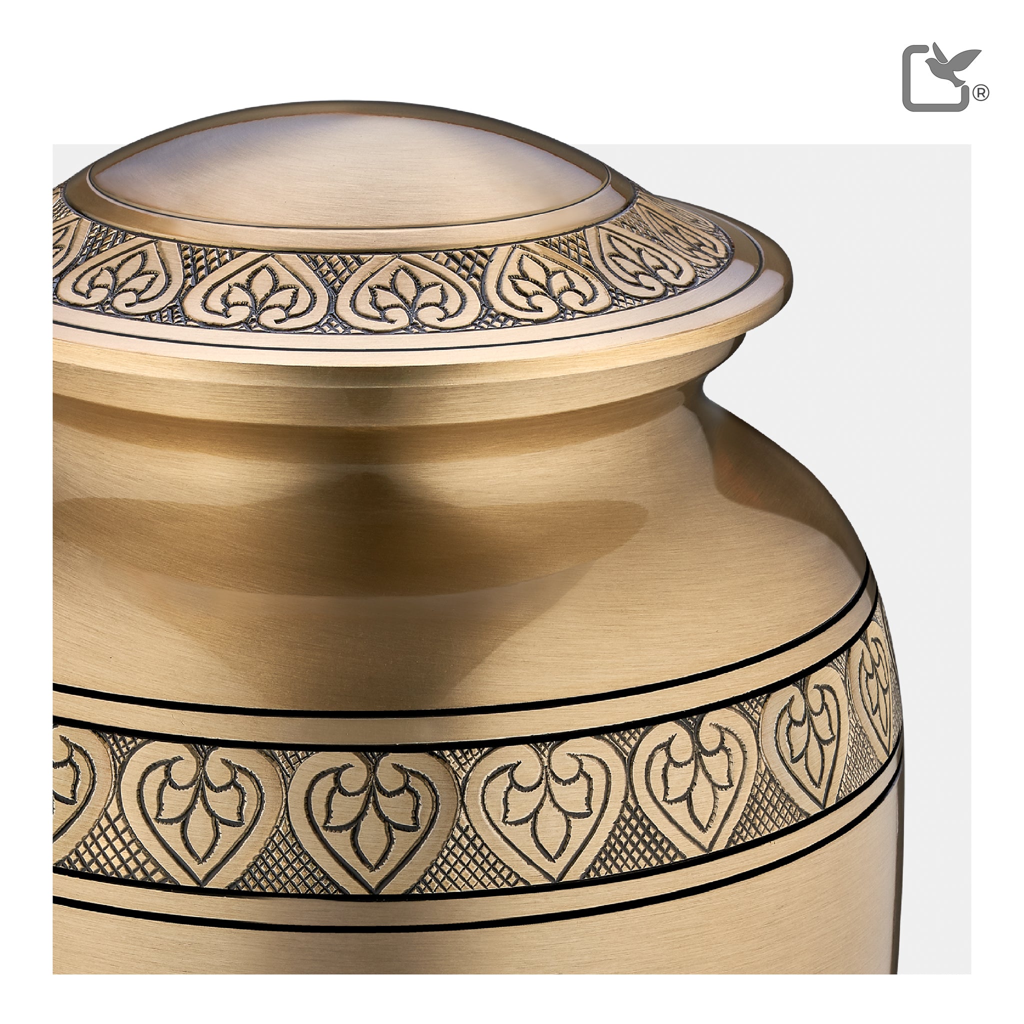 Infinity Gold Classic (Adult)