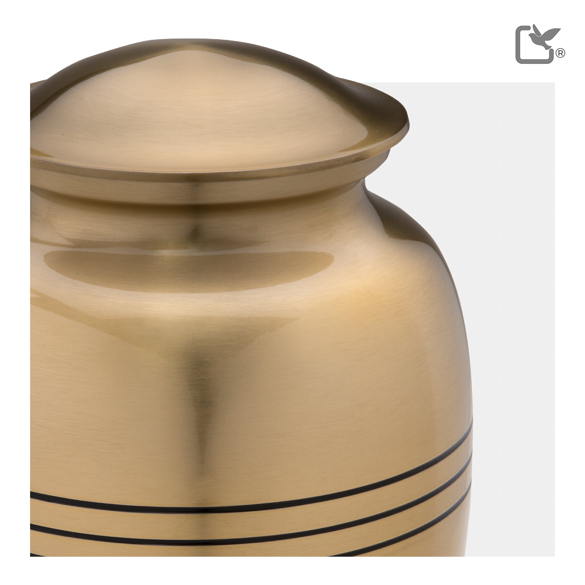Radiance Gold (Adult)
