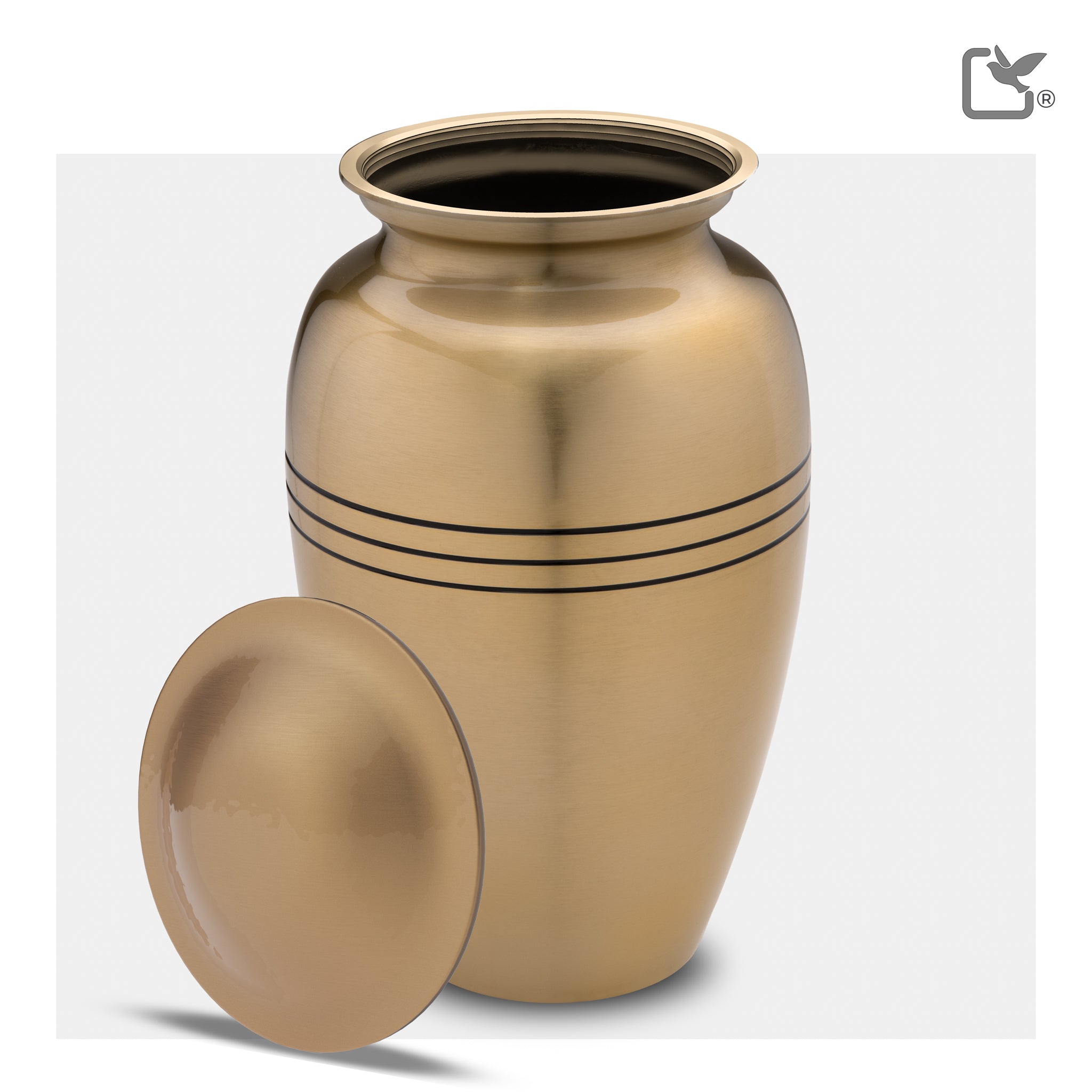Radiance Gold (Adult)