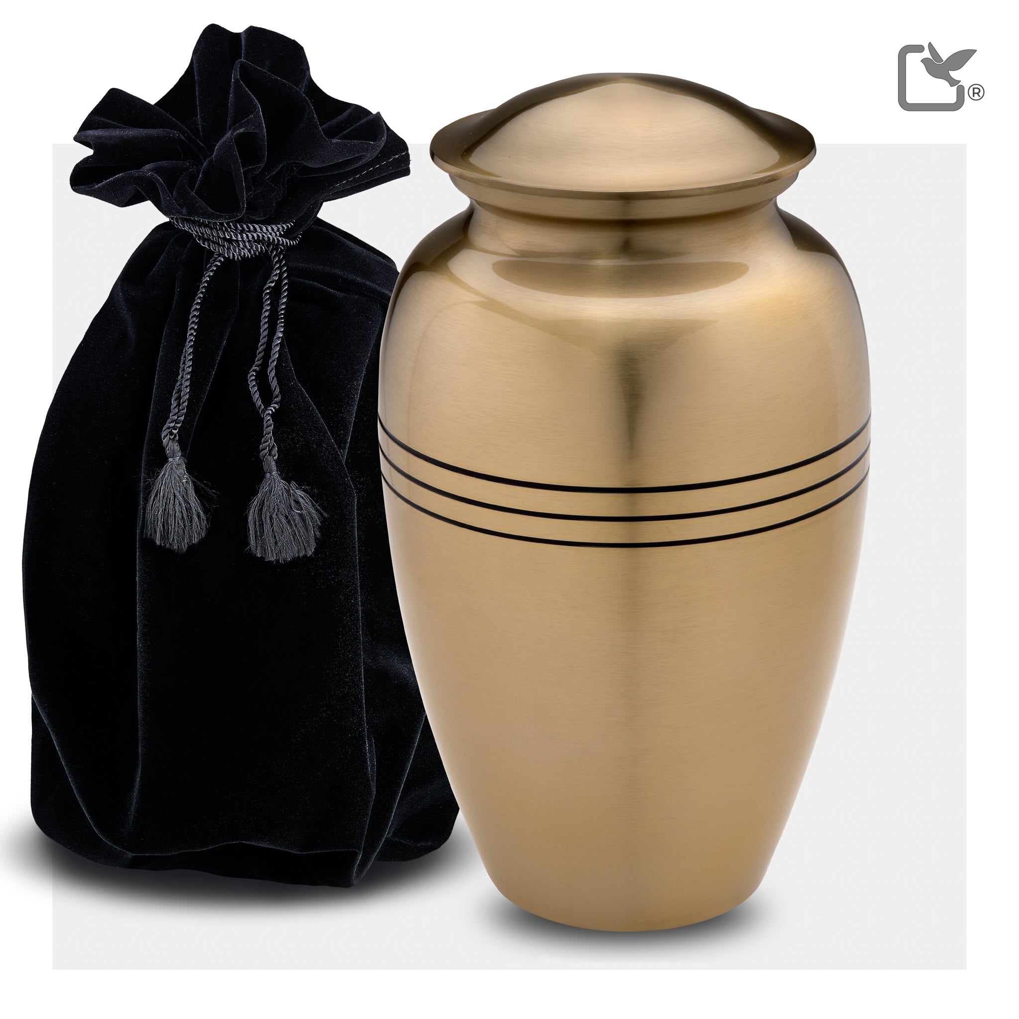Radiance Gold (Adult)