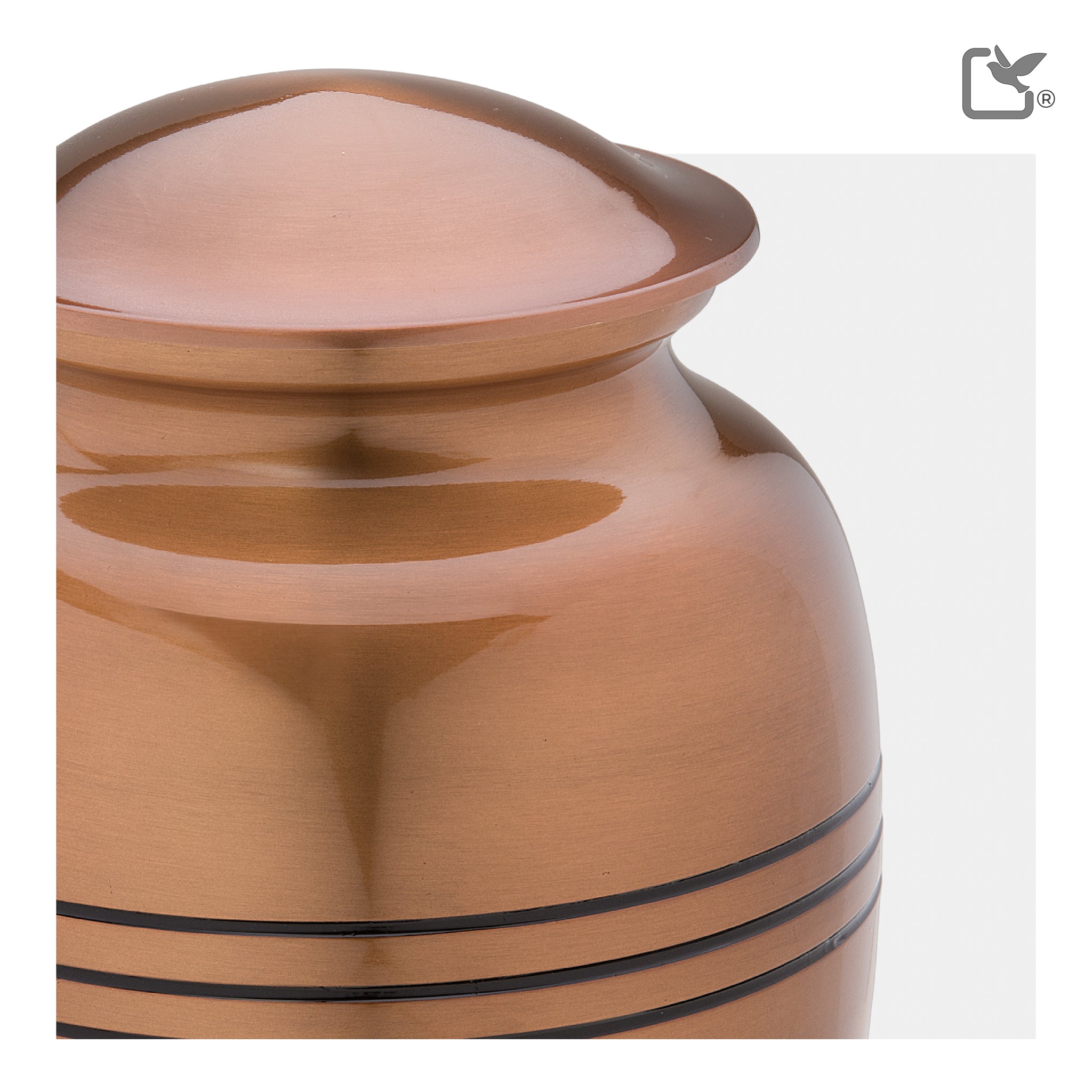 Radiance Copper (Adult)