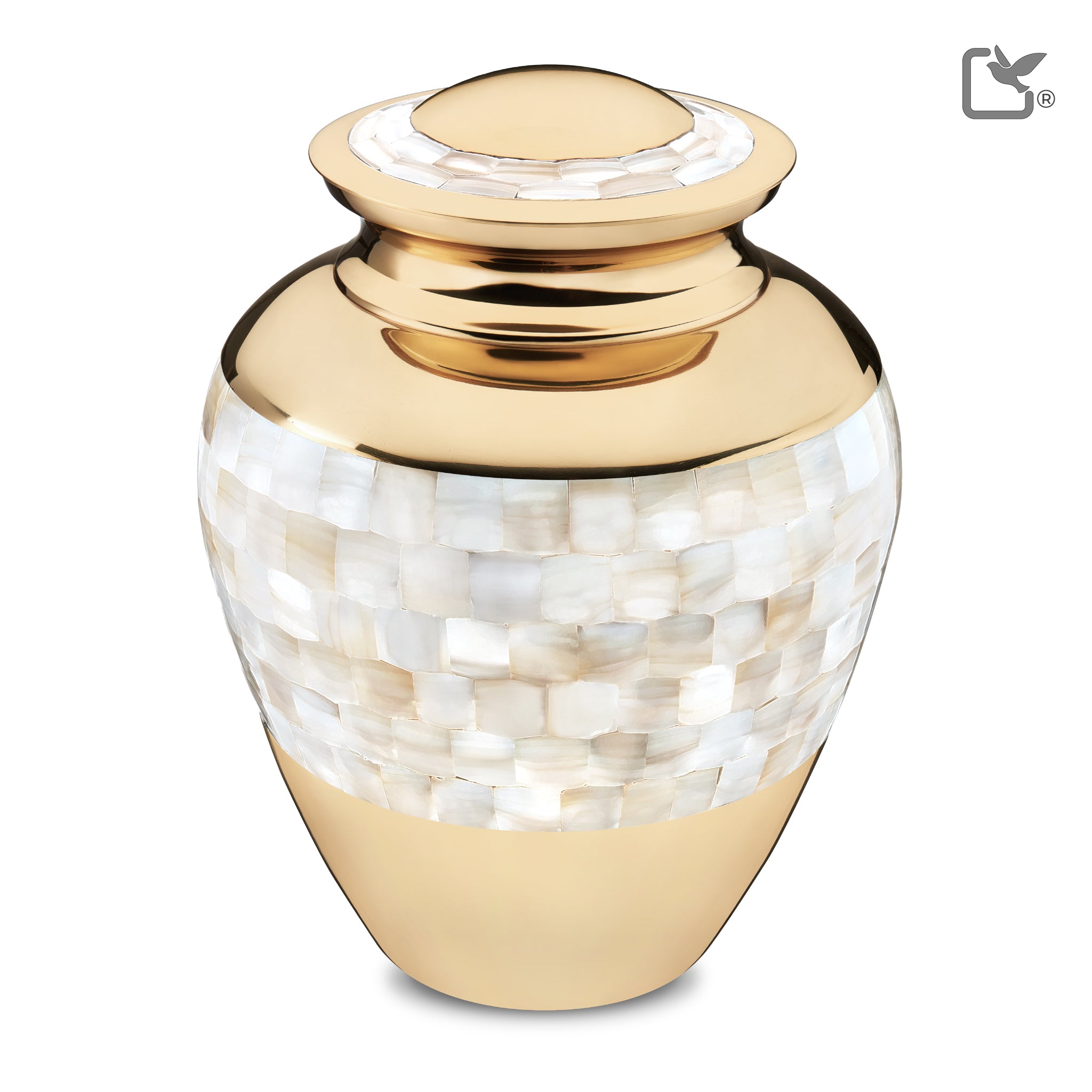 Mother of Pearl (Adult)