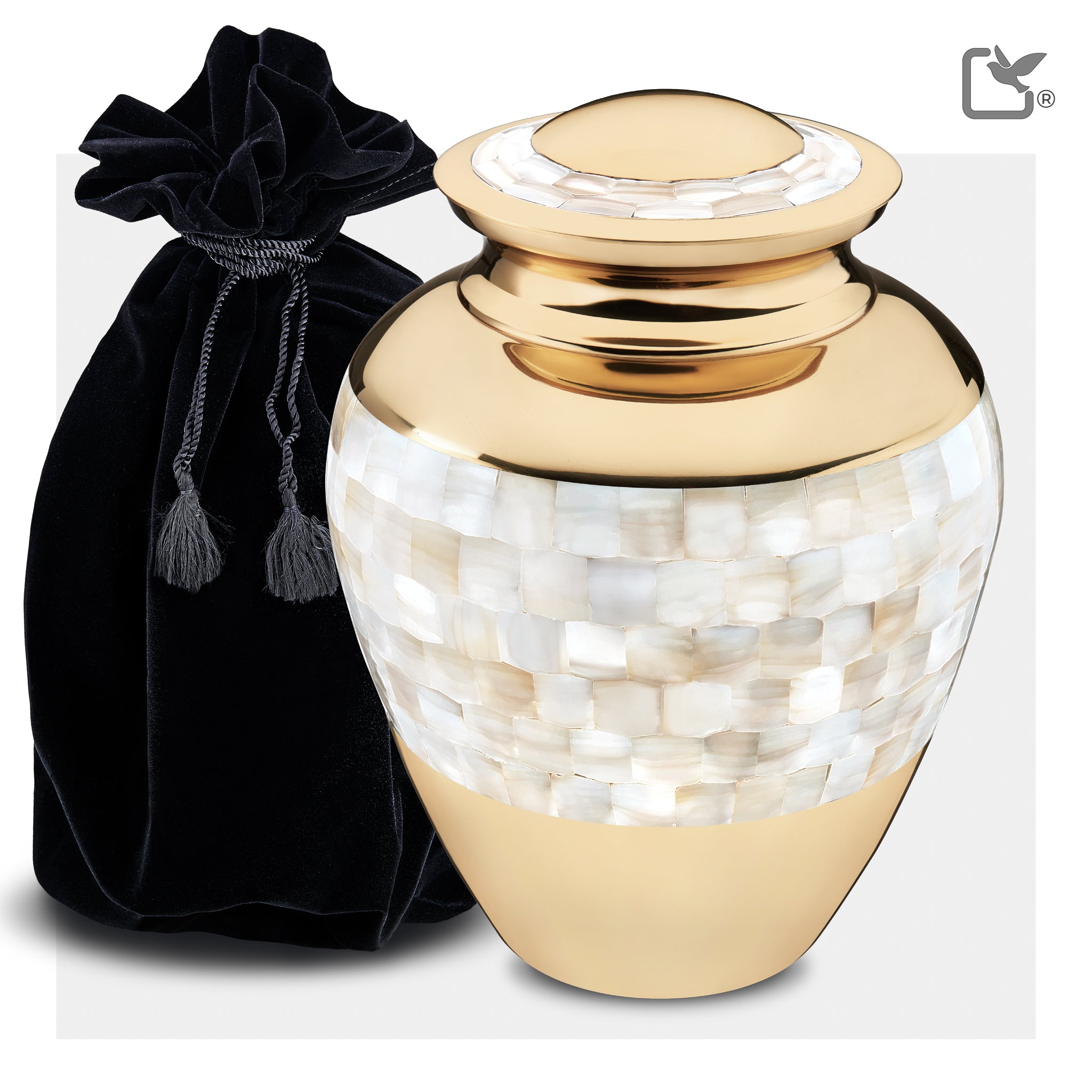 Mother of Pearl (Adult)