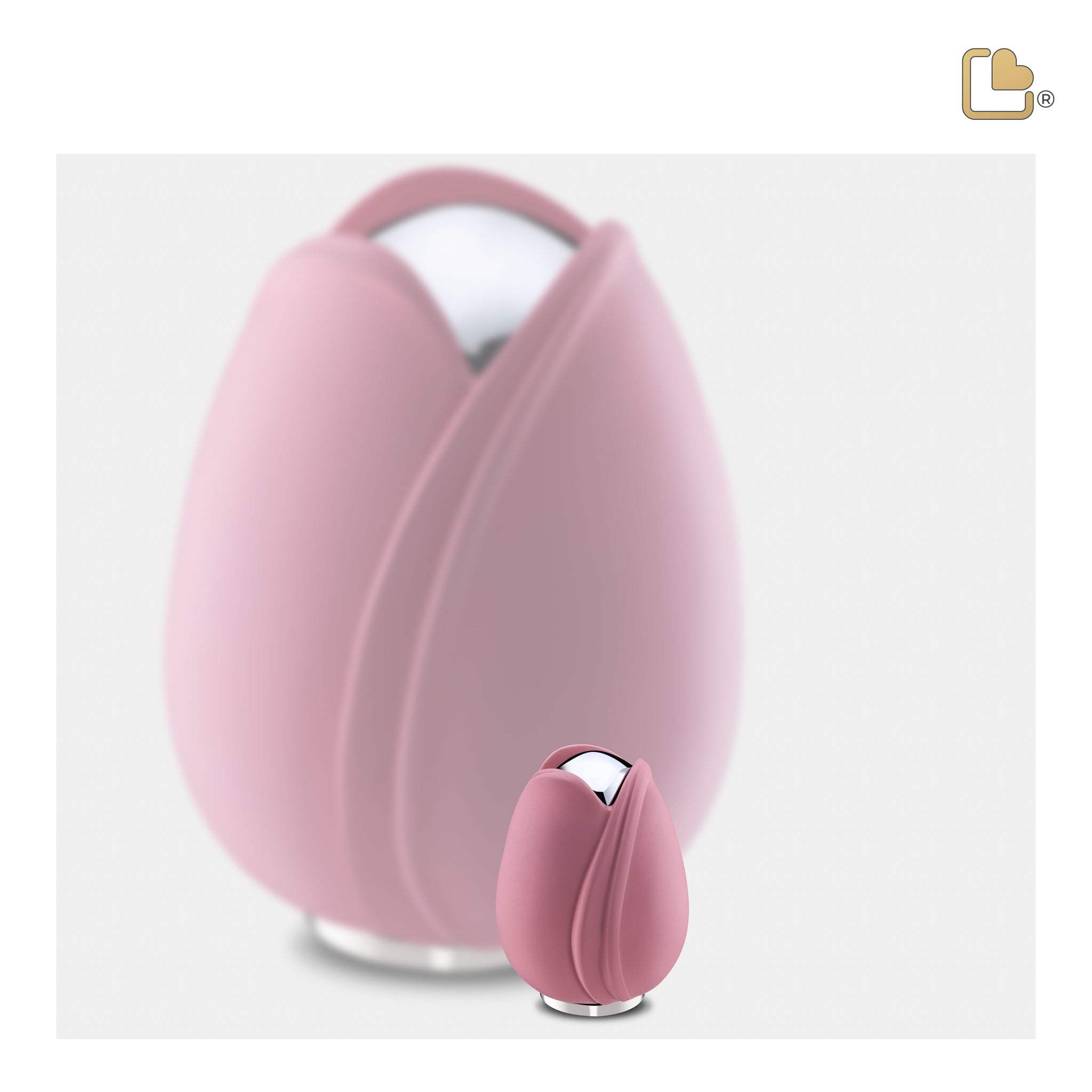 Tulip Pink (Keepsake)