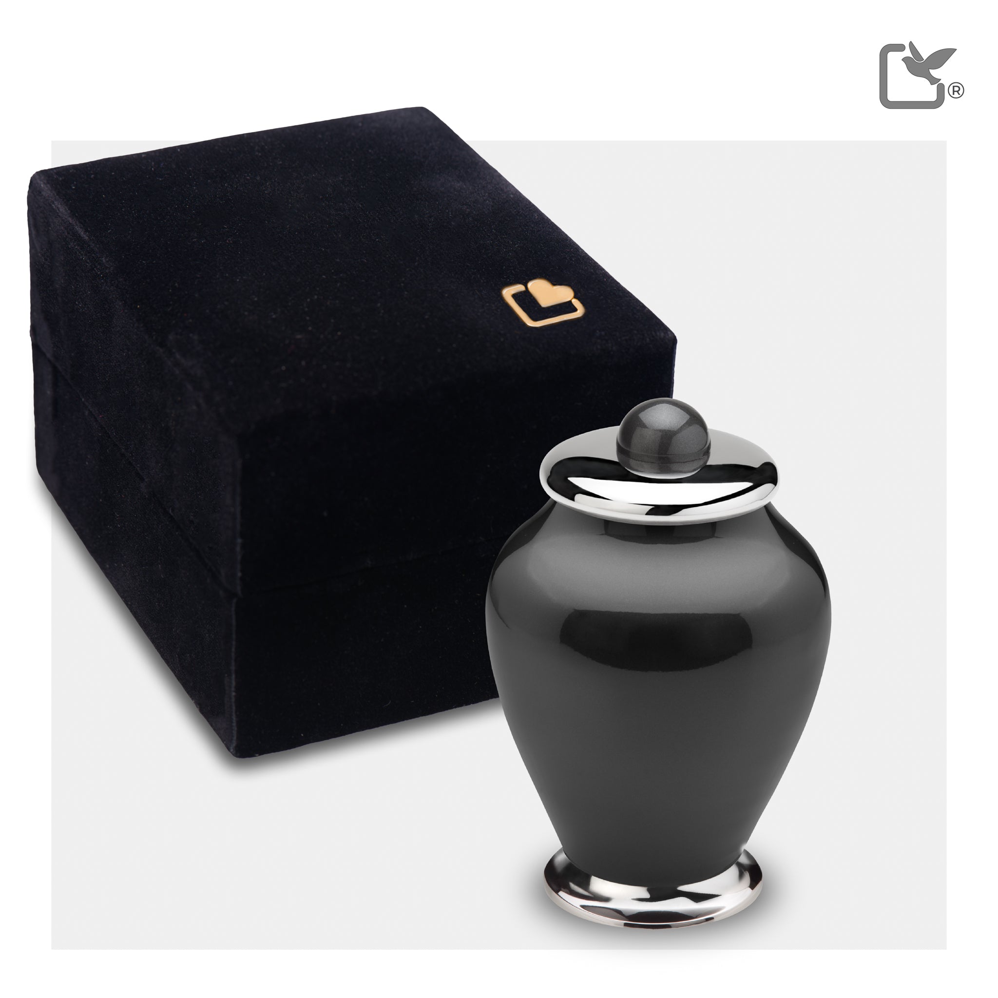 Simplicity Midnight Tall (Keepsake)