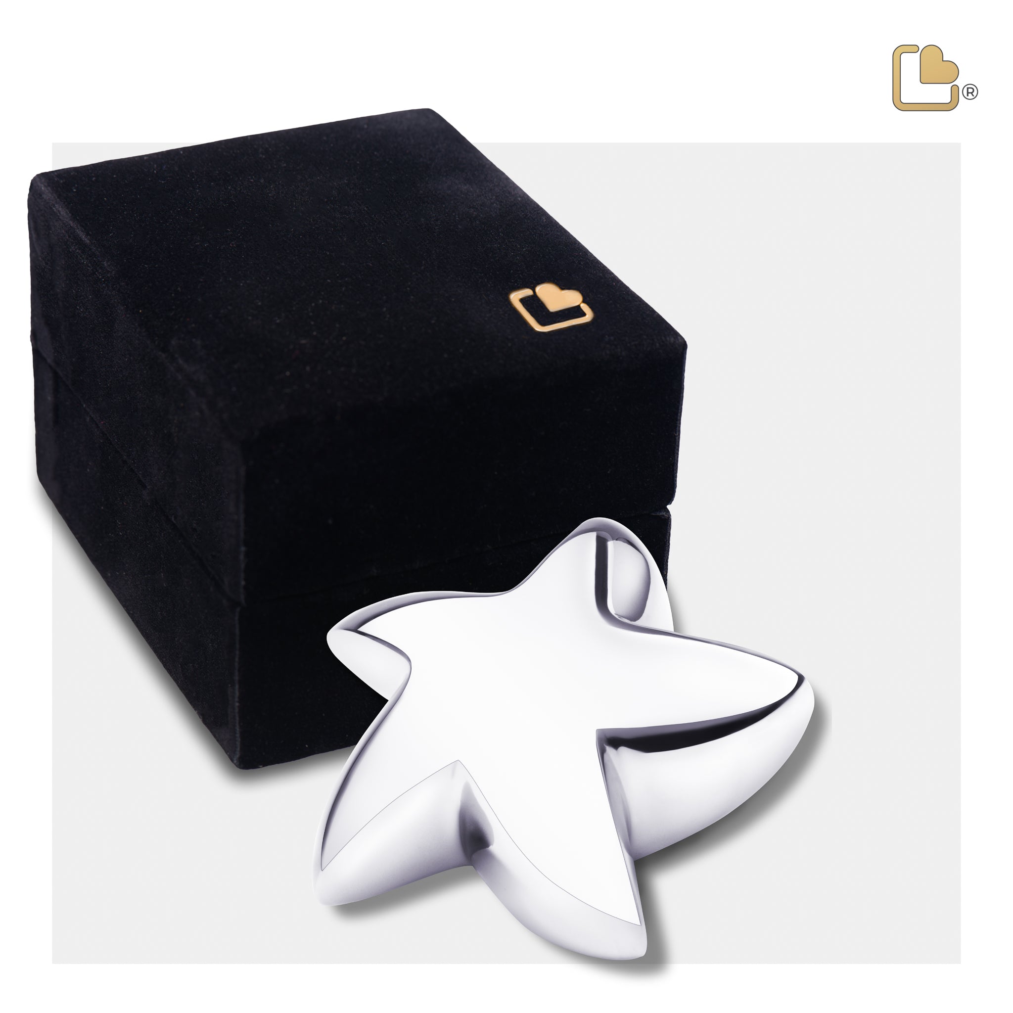 Bright Silver (Keepsake Star)