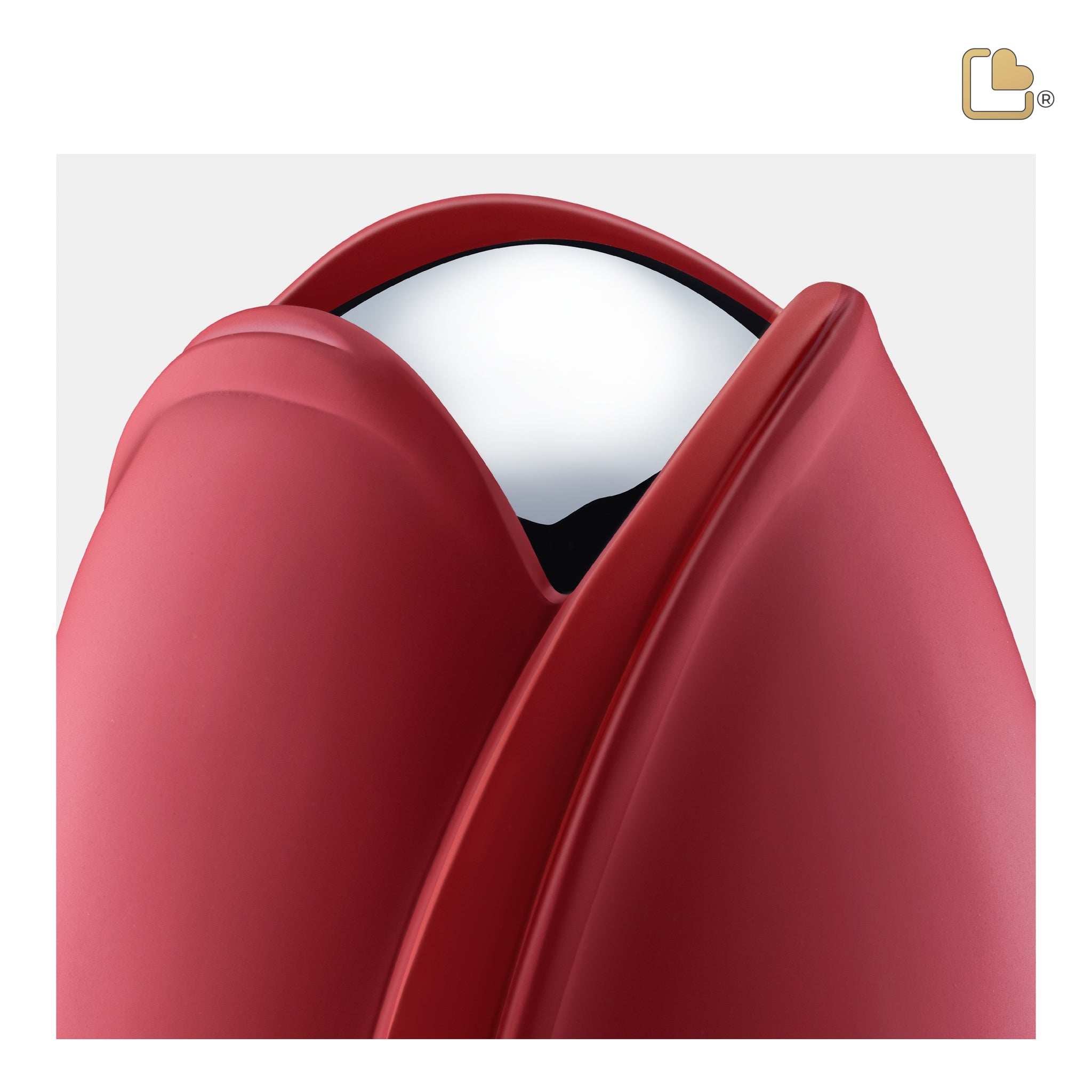 Tulip Red (Medium)