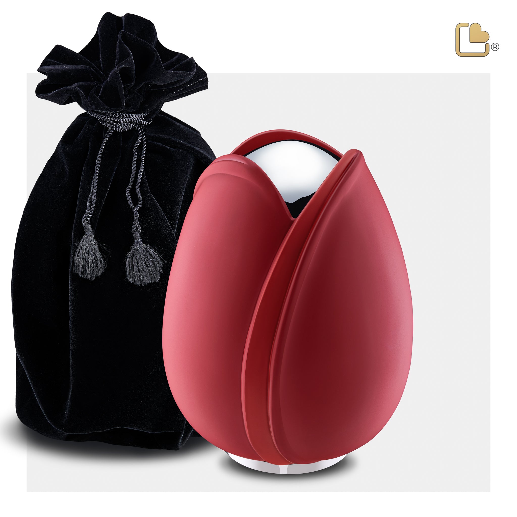 Tulip Red (Medium)