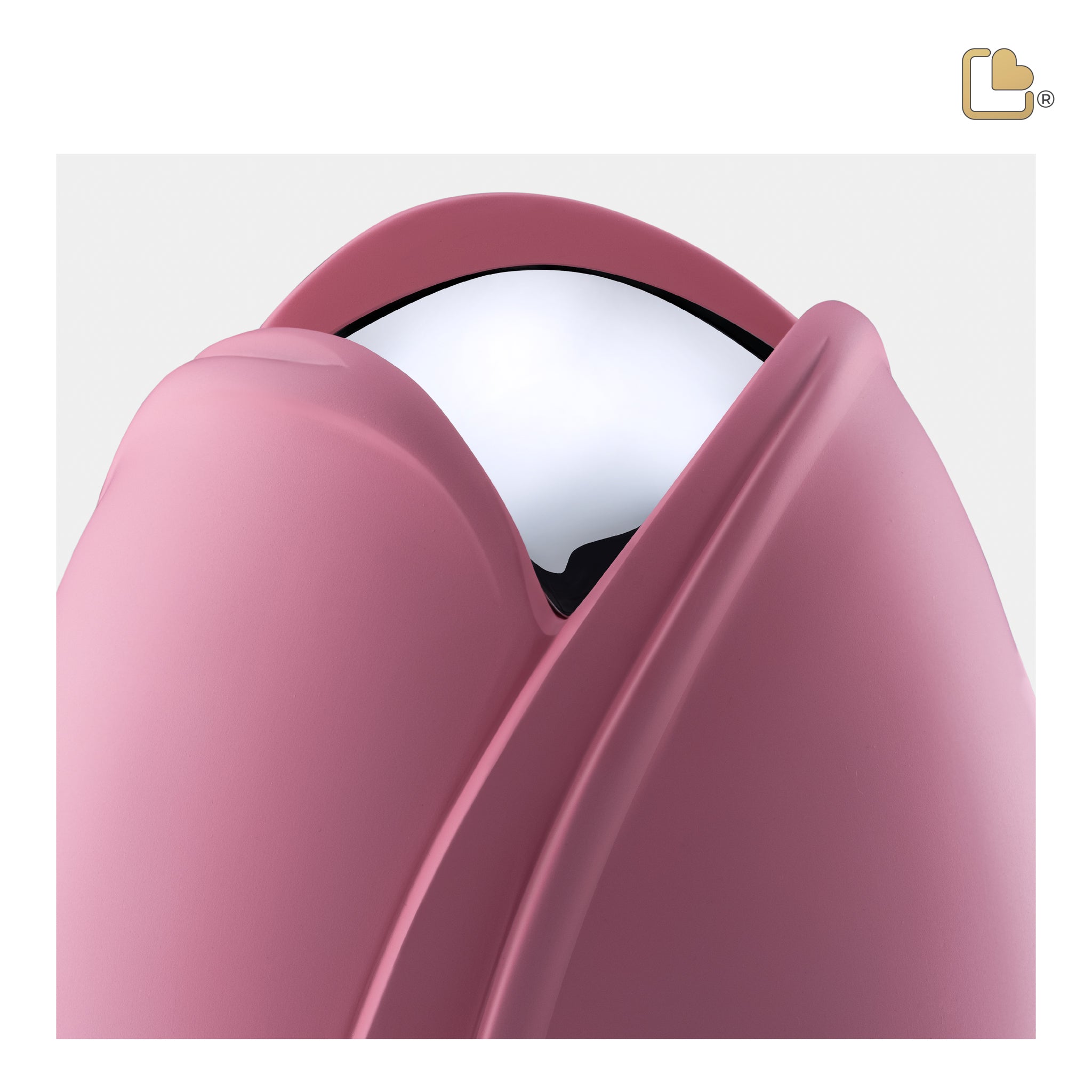 Tulip Pink (Medium)