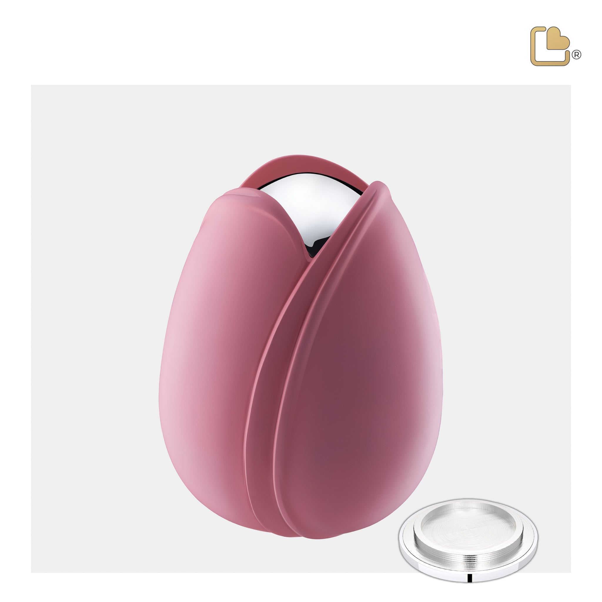 Tulip Pink (Medium)