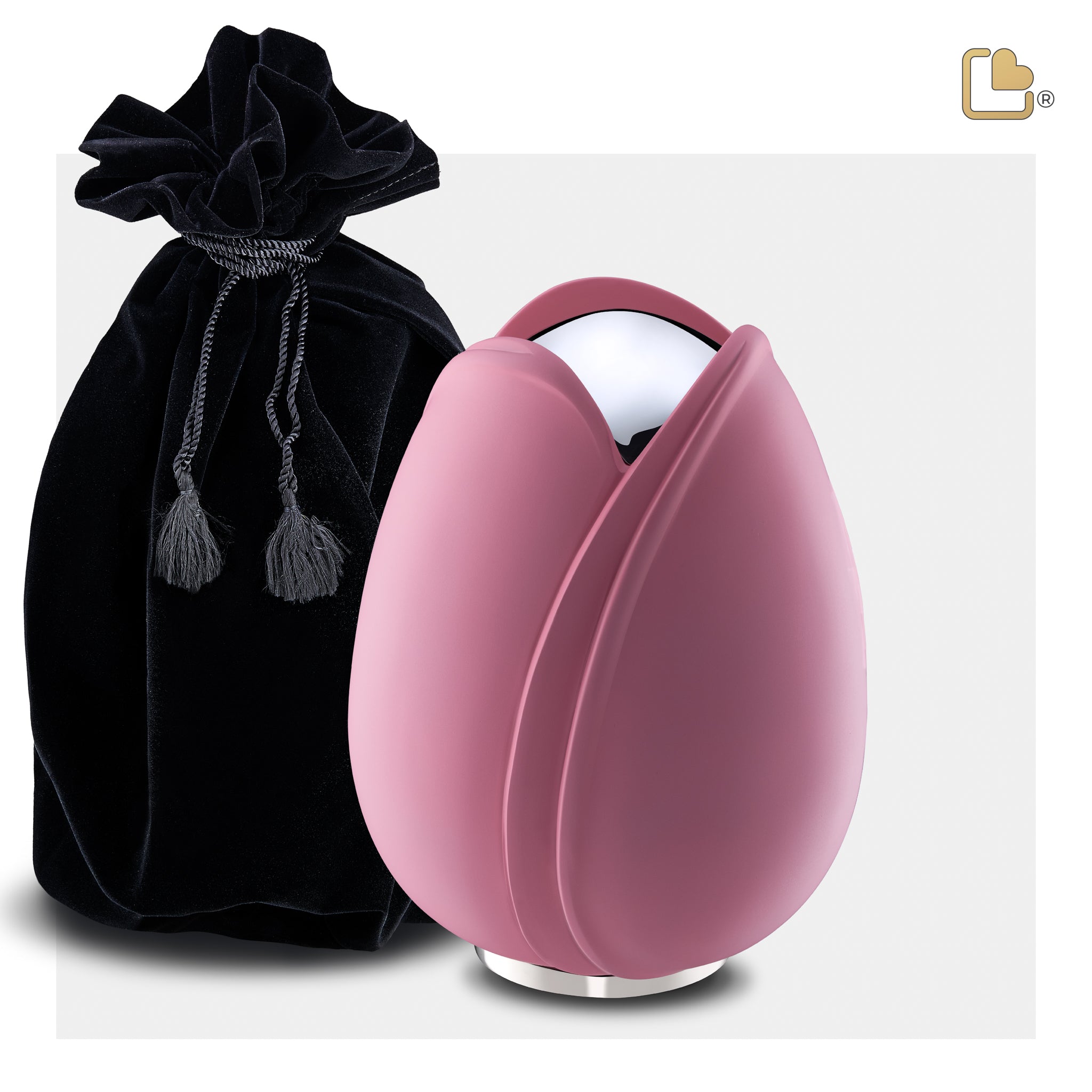 Tulip Pink (Medium)