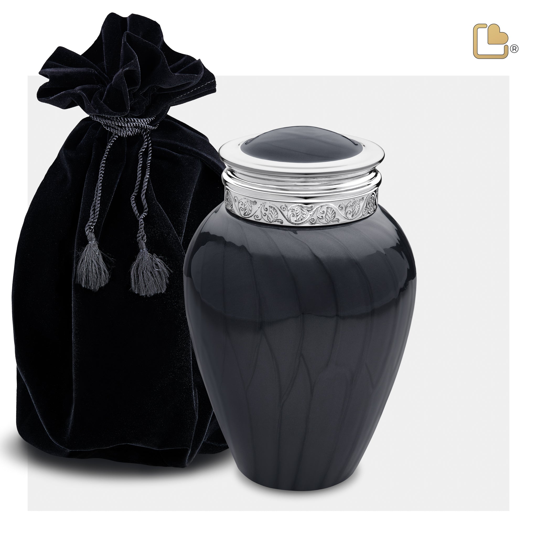Blessing Midnight (Medium)