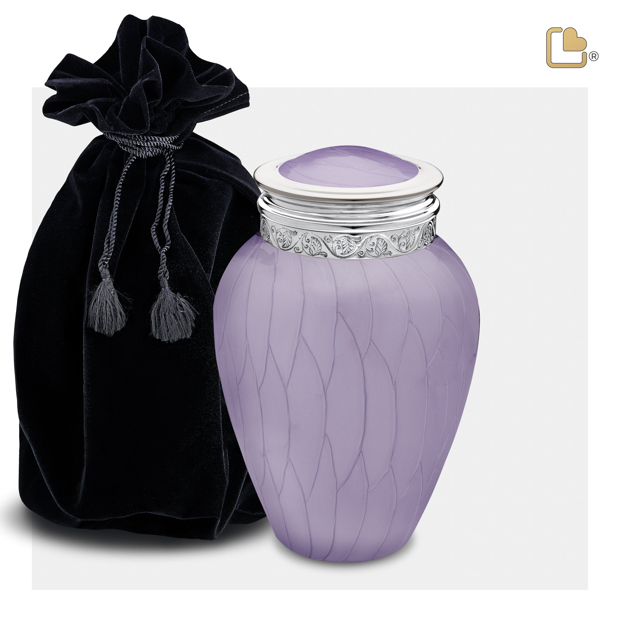 Blessing Lavender (Medium)