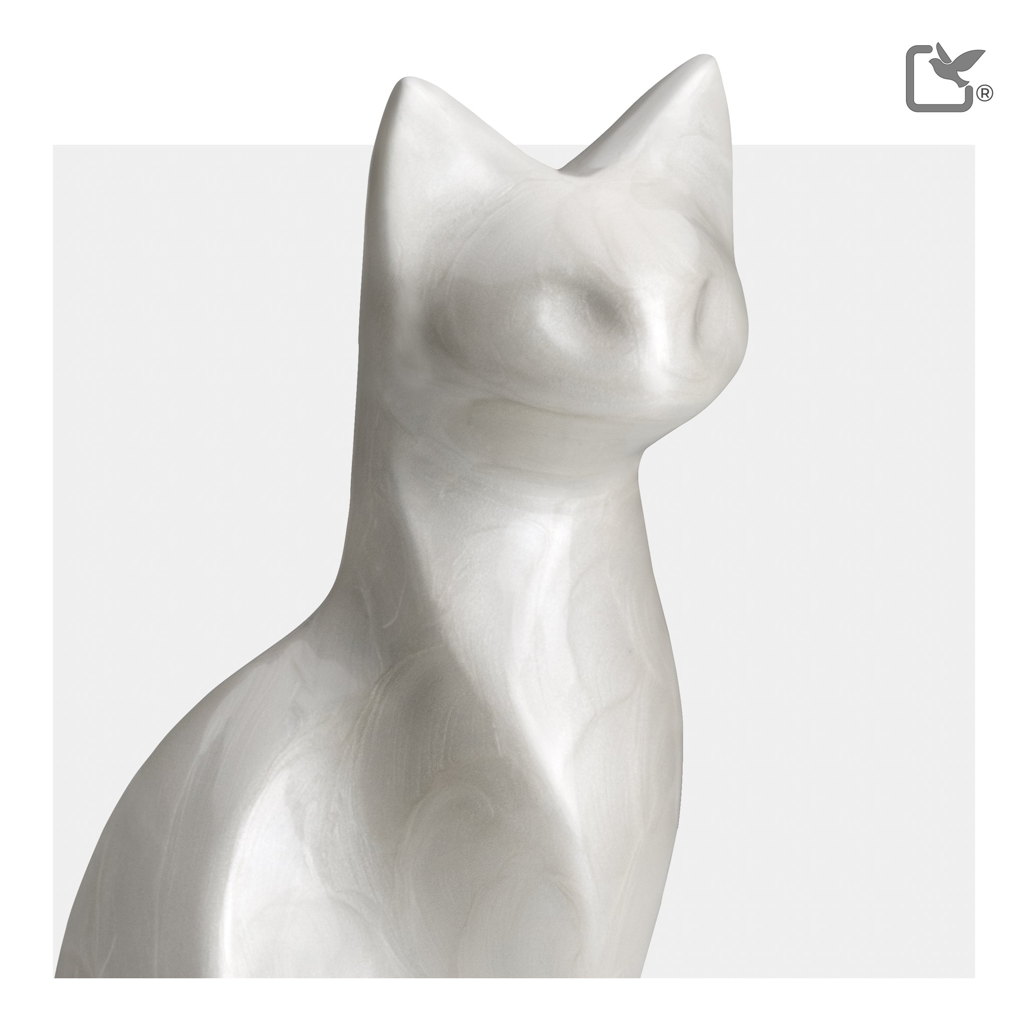 Cat (White)
