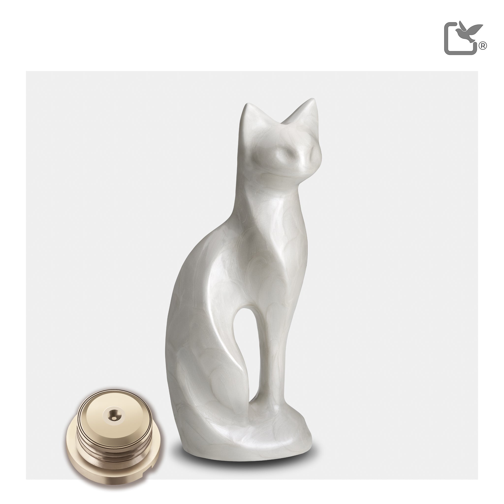 Cat (White)
