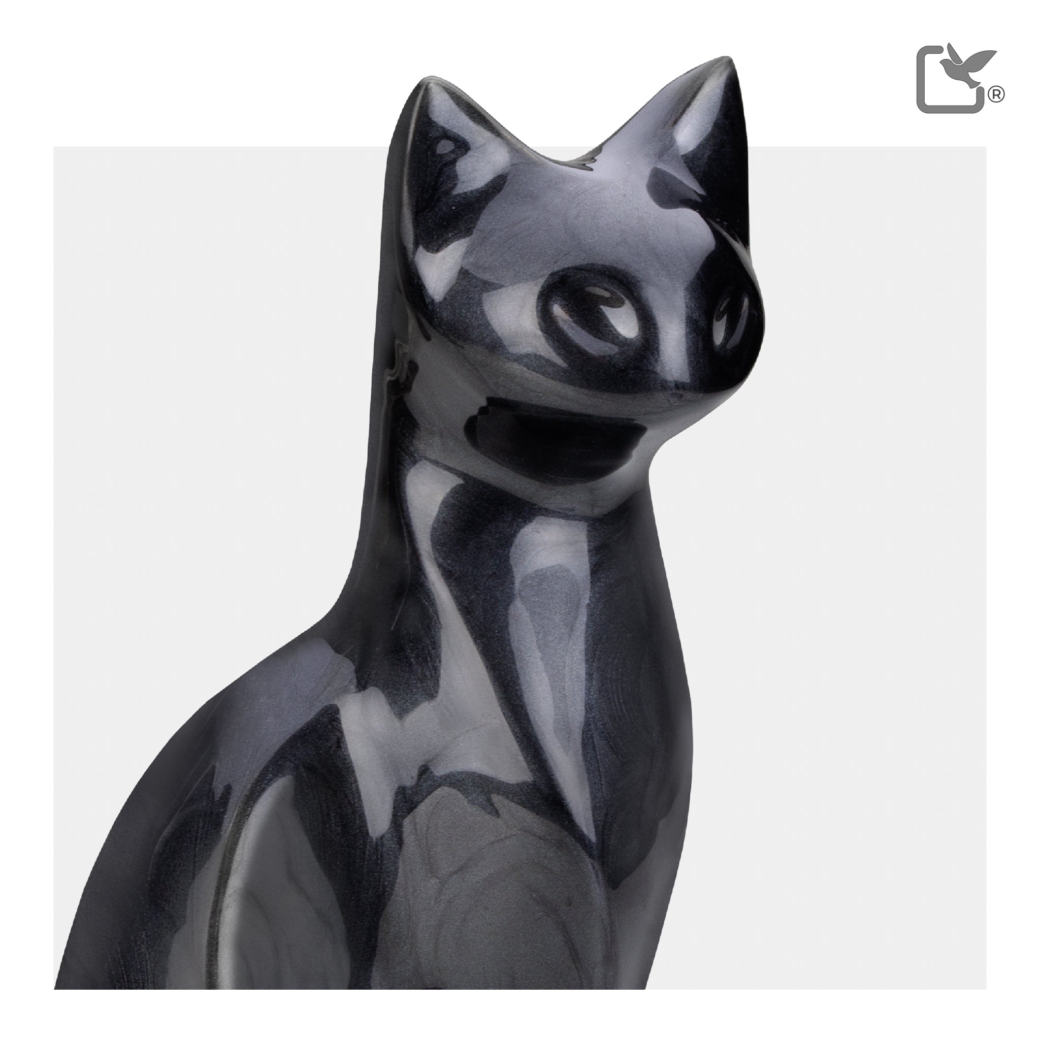 Cat (Midnight)