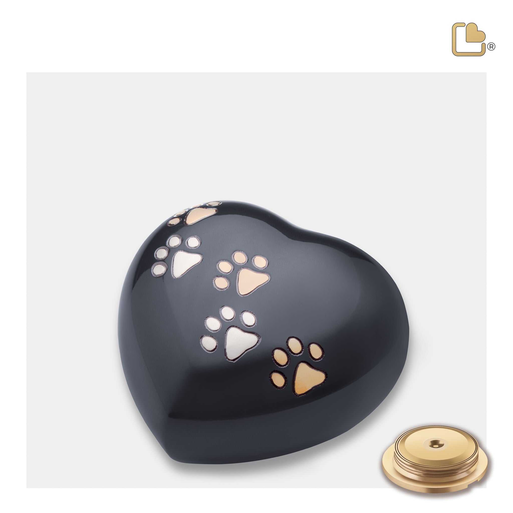 Heart Midnight (Medium)