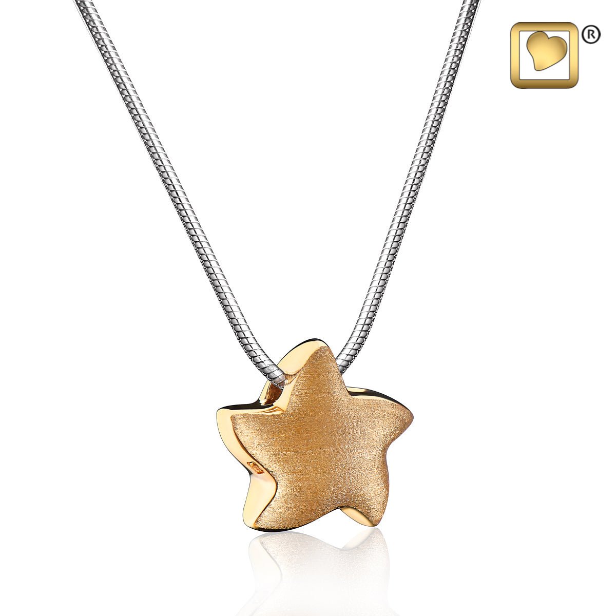 Pendant: Angelic Star - Gold Vermeil Two Tone